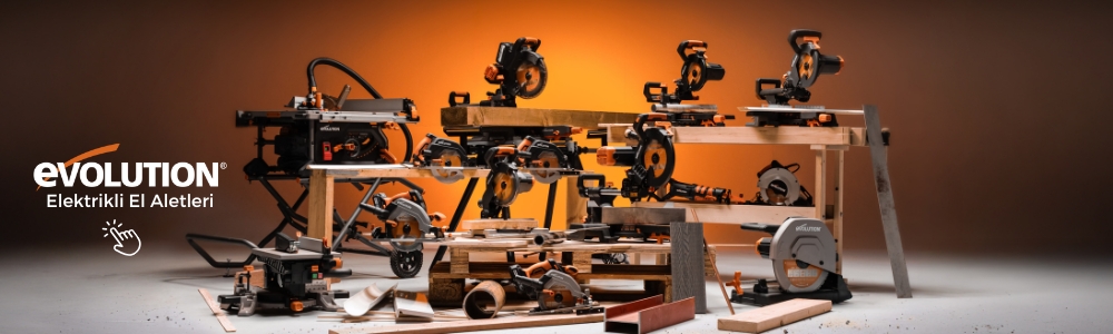 IV-EVOLUTION-A.jpg (219 KB)